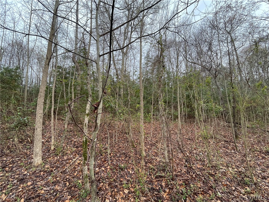 6.45 Acres (off) Root Swamp Road Tappahannock, VA 22560 - Photo 13 of 34 Gallery Image 13