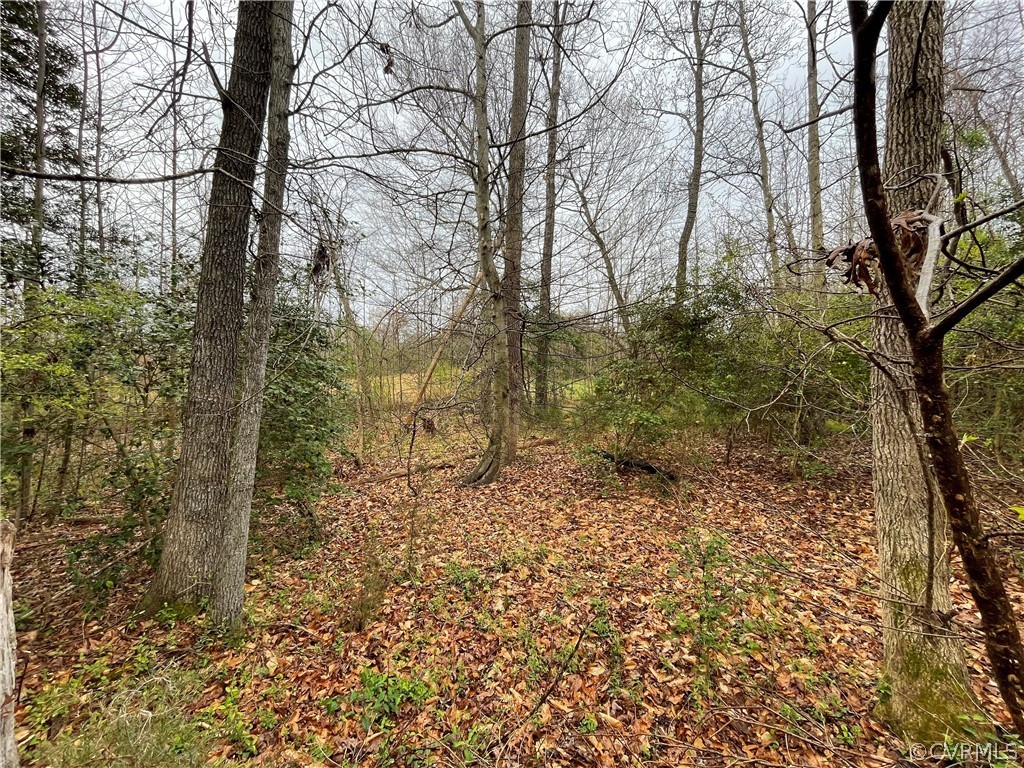 6.45 Acres (off) Root Swamp Road Tappahannock, VA 22560 - Photo 14 of 34 Gallery Image 14