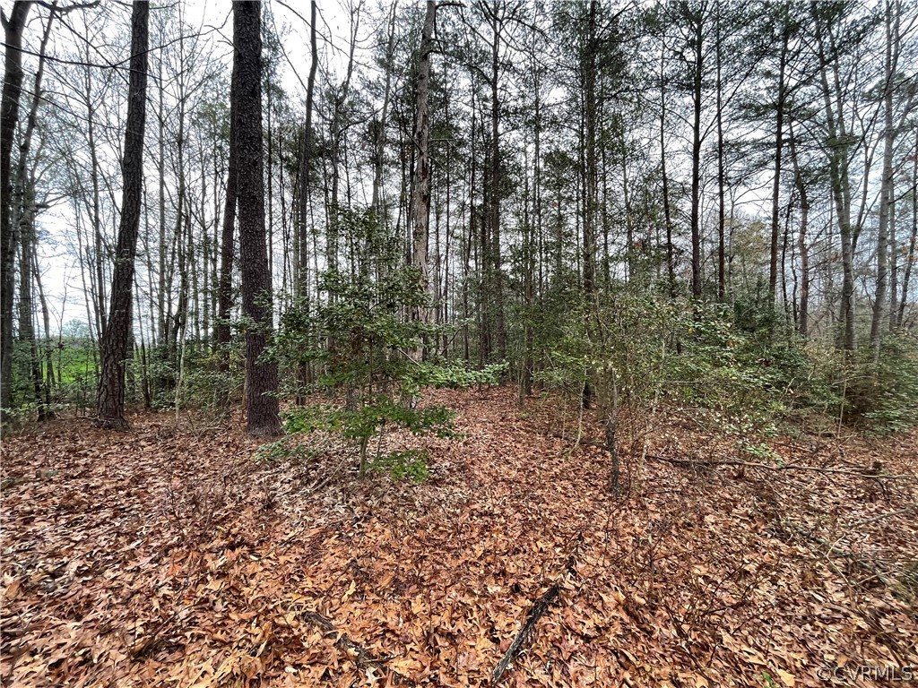 6.45 Acres (off) Root Swamp Road Tappahannock, VA 22560 - Photo 16 of 34 Gallery Image 16