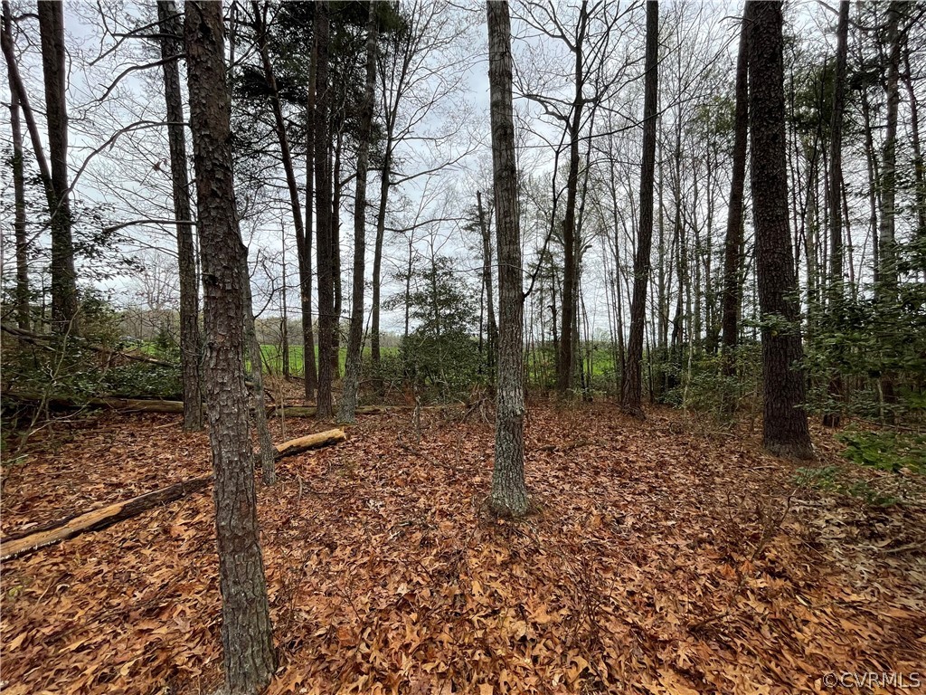6.45 Acres (off) Root Swamp Road Tappahannock, VA 22560 - Photo 17 of 34 Gallery Image 17