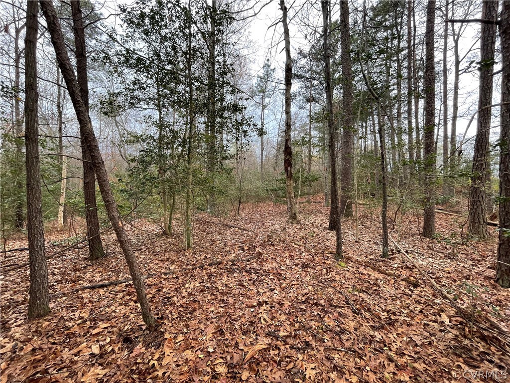 6.45 Acres (off) Root Swamp Road Tappahannock, VA 22560 - Photo 18 of 34 Gallery Image 18