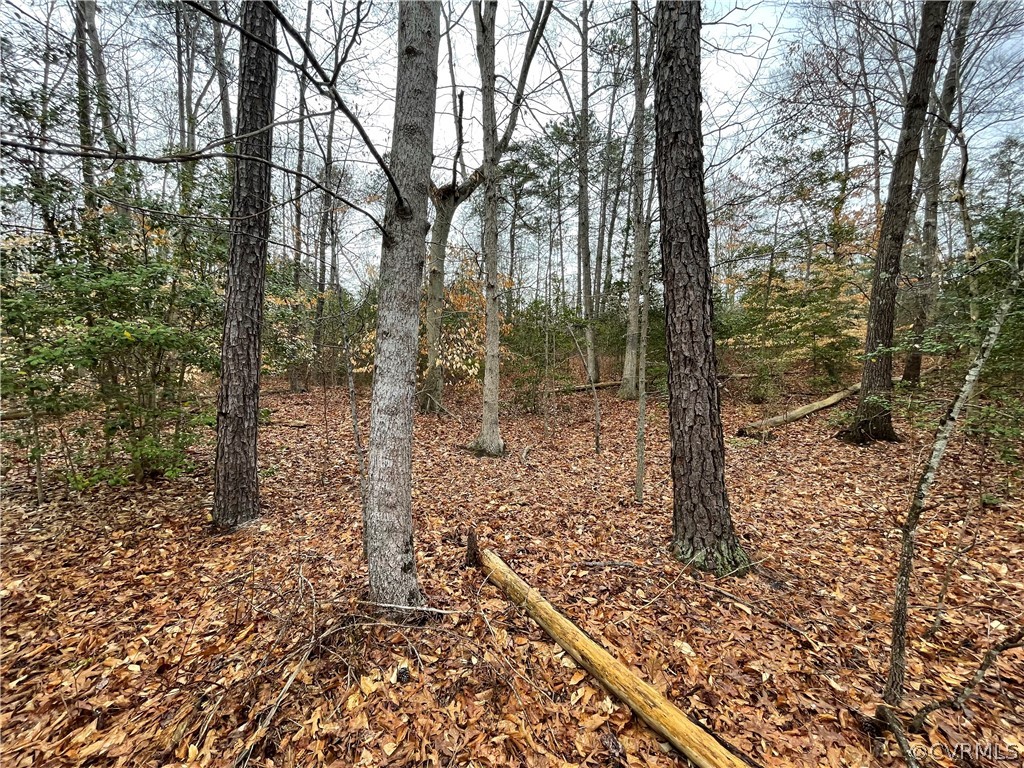 6.45 Acres (off) Root Swamp Road Tappahannock, VA 22560 - Photo 20 of 34 Gallery Image 20