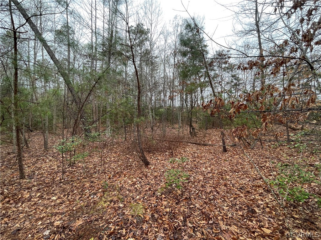 6.45 Acres (off) Root Swamp Road Tappahannock, VA 22560 - Photo 21 of 34 Gallery Image 21