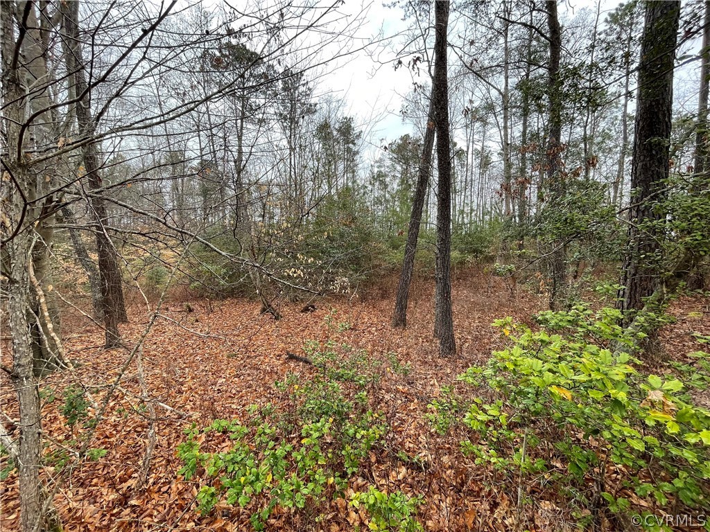 6.45 Acres (off) Root Swamp Road Tappahannock, VA 22560 - Photo 23 of 34 Gallery Image 23