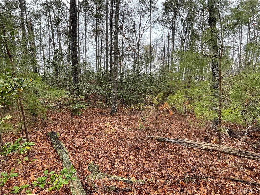 6.45 Acres (off) Root Swamp Road Tappahannock, VA 22560 - Photo 24 of 34 Gallery Image 24