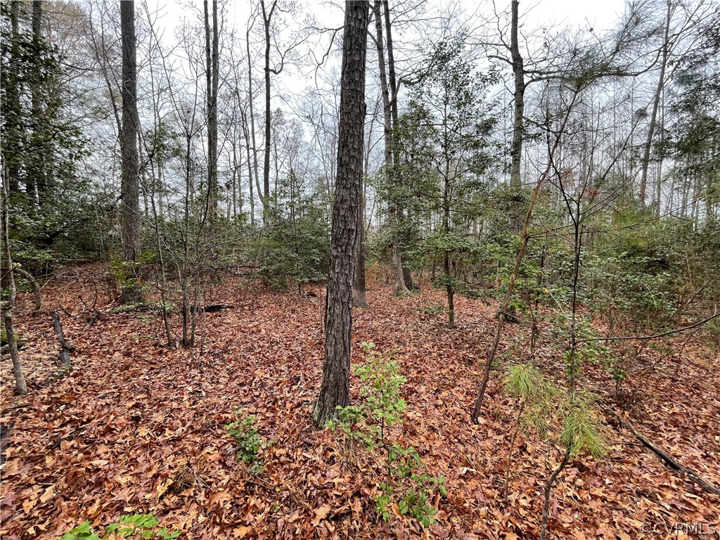 6.45 Acres (off) Root Swamp Road Tappahannock, VA 22560 - Photo 25 of 34 Gallery Image 25