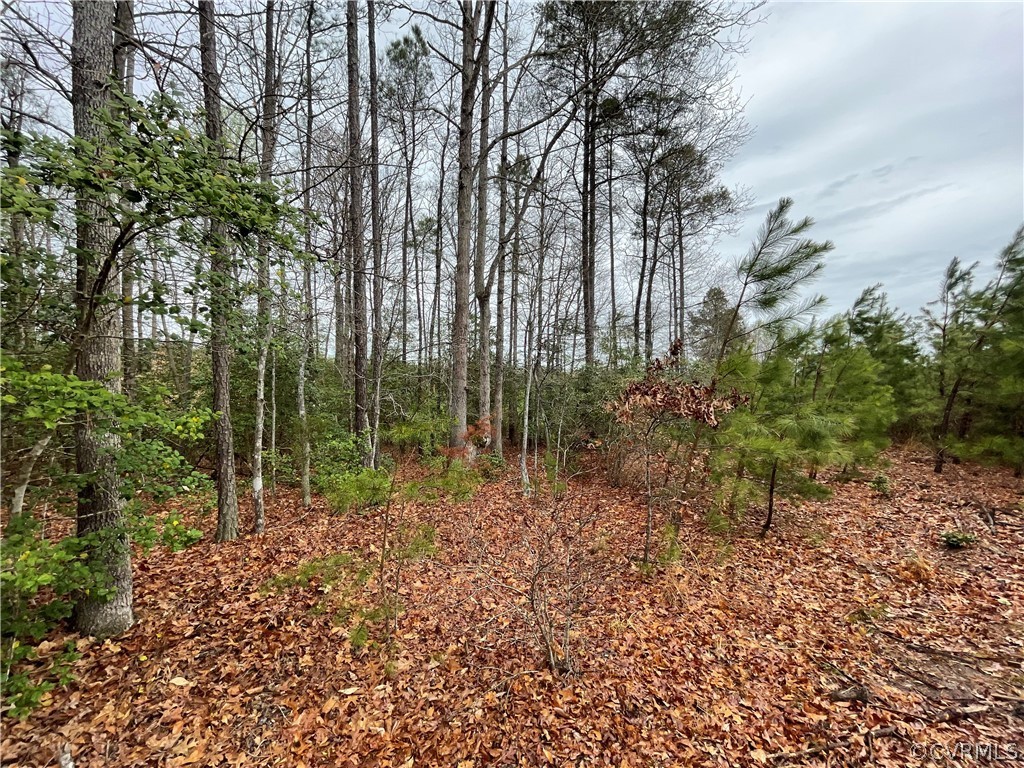 6.45 Acres (off) Root Swamp Road Tappahannock, VA 22560 - Photo 28 of 34 Gallery Image 28