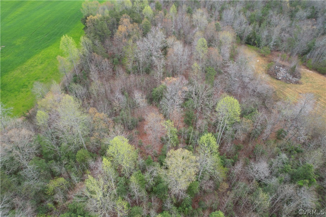 6.45 Acres (off) Root Swamp Road Tappahannock, VA 22560 - Photo 4 of 34 Gallery Image 4