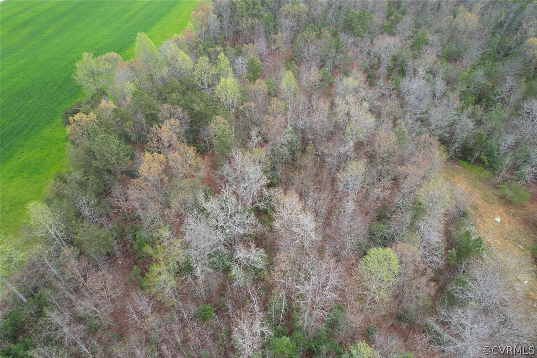 6.45 Acres (off) Root Swamp Road Tappahannock, VA 22560 - Photo 5 of 34 Gallery Image 5