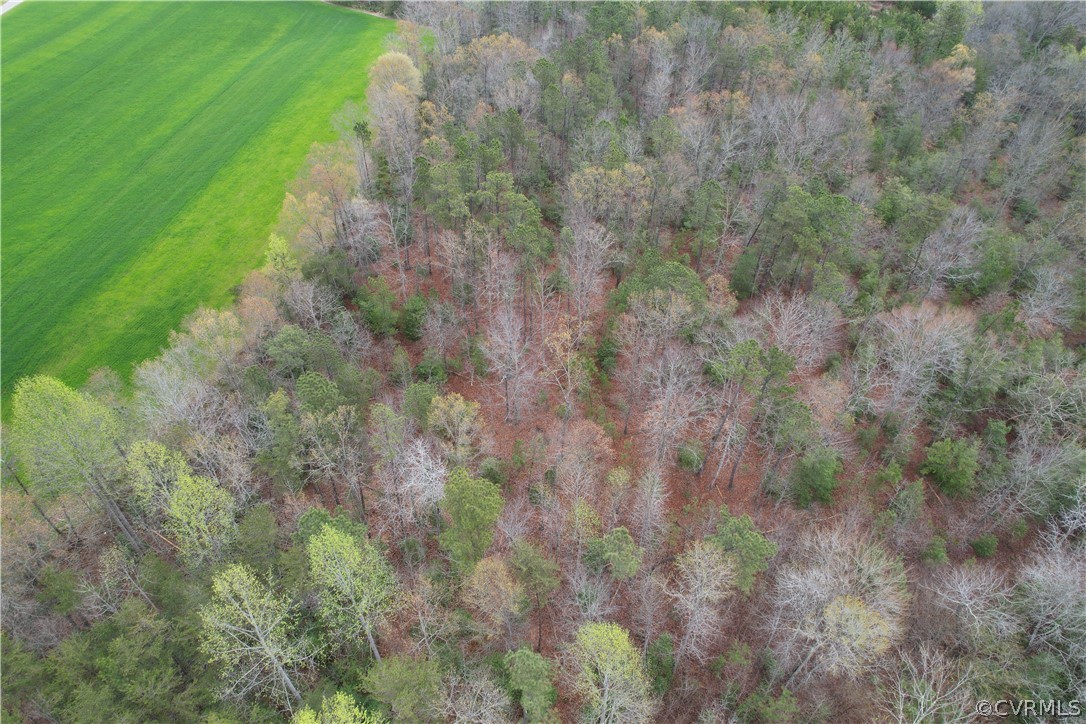 6.45 Acres (off) Root Swamp Road Tappahannock, VA 22560 - Photo 6 of 34 Gallery Image 6