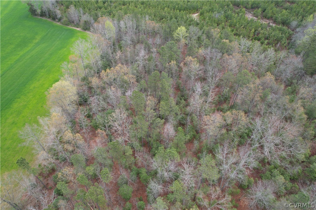 6.45 Acres (off) Root Swamp Road Tappahannock, VA 22560 - Photo 7 of 34 Gallery Image 7