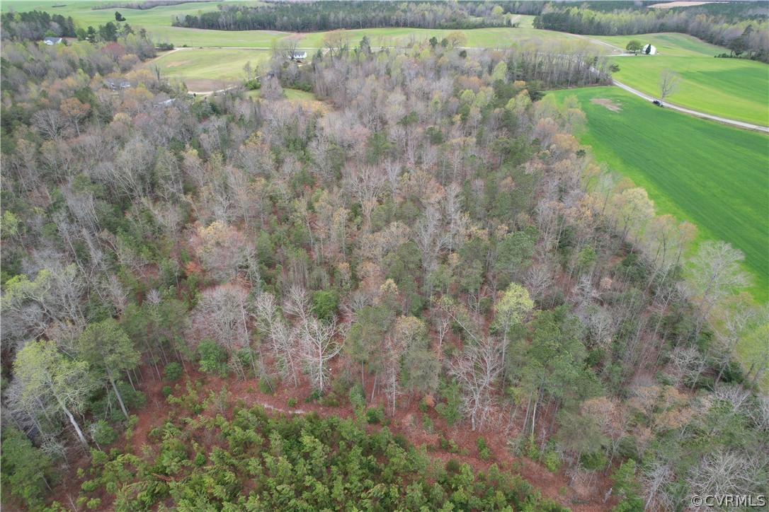 6.45 Acres (off) Root Swamp Road Tappahannock, VA 22560 - Photo 8 of 34 Gallery Image 8