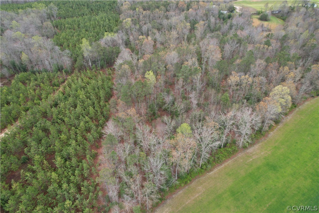 6.45 Acres (off) Root Swamp Road Tappahannock, VA 22560 - Photo 9 of 34 Gallery Image 9