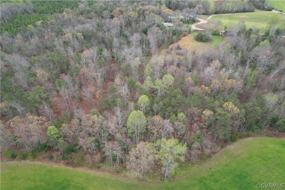 6.45 Acres (off) Root Swamp Road Tappahannock, VA 22560 - Photo 10 of 34 Gallery Image 10