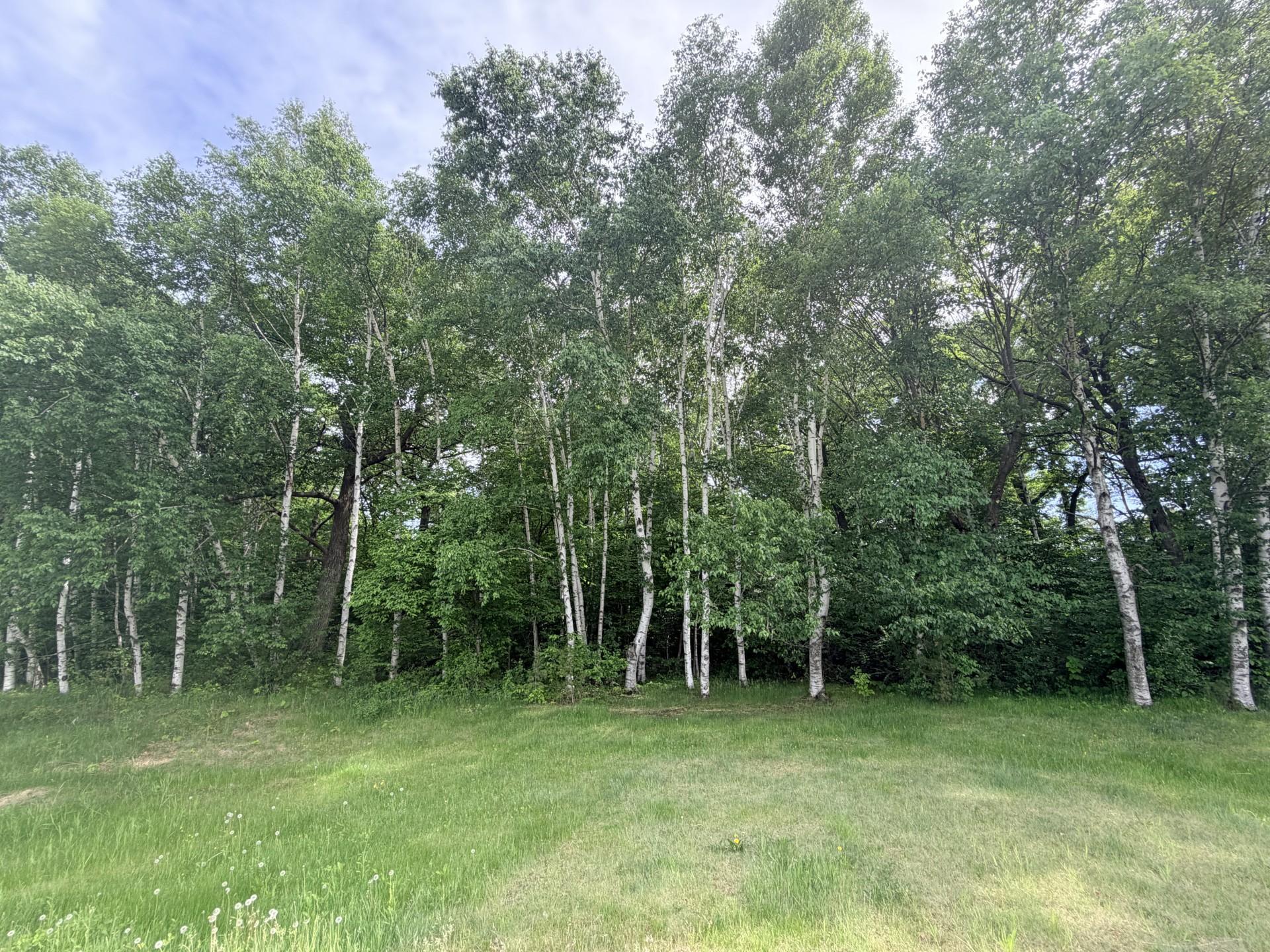 21781 Trestle Ridge Road Albany, MN 56307 - Photo 5 of 13