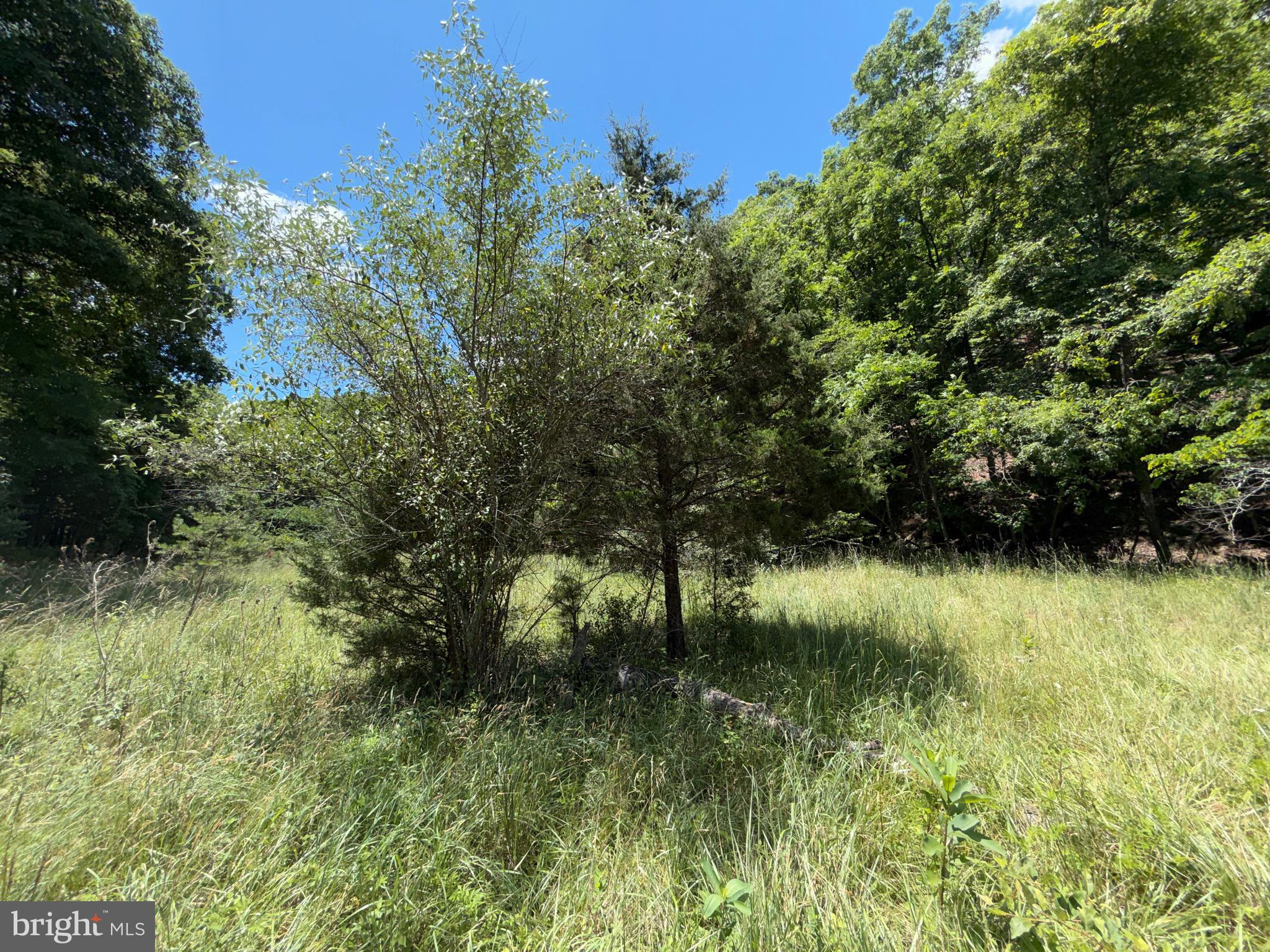 511 Chickadee Road Purgitsville, WV 26852 - Photo 35 of 99