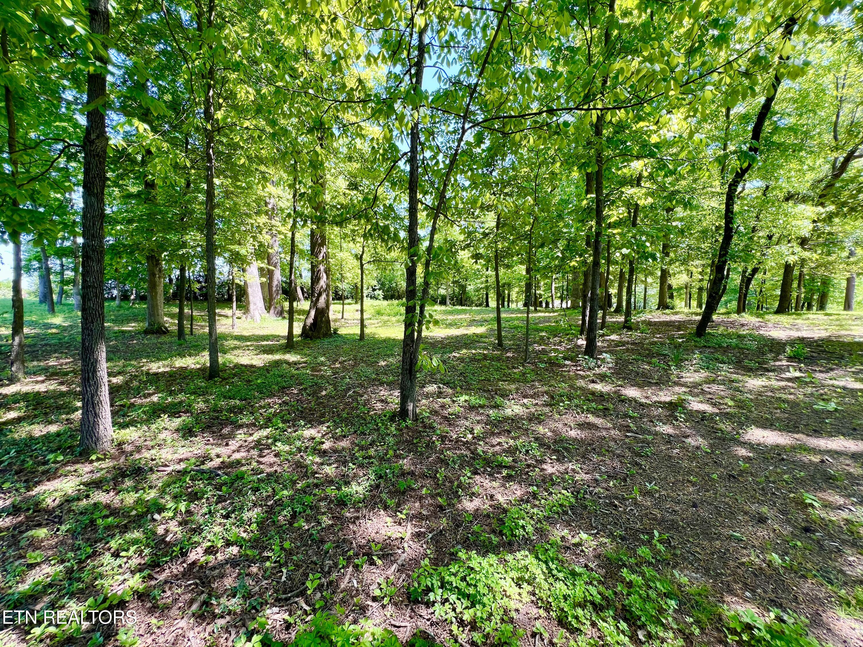 729 East Hunt Road Alcoa, TN 37701 - Photo 2 of 7 729 E Hunt