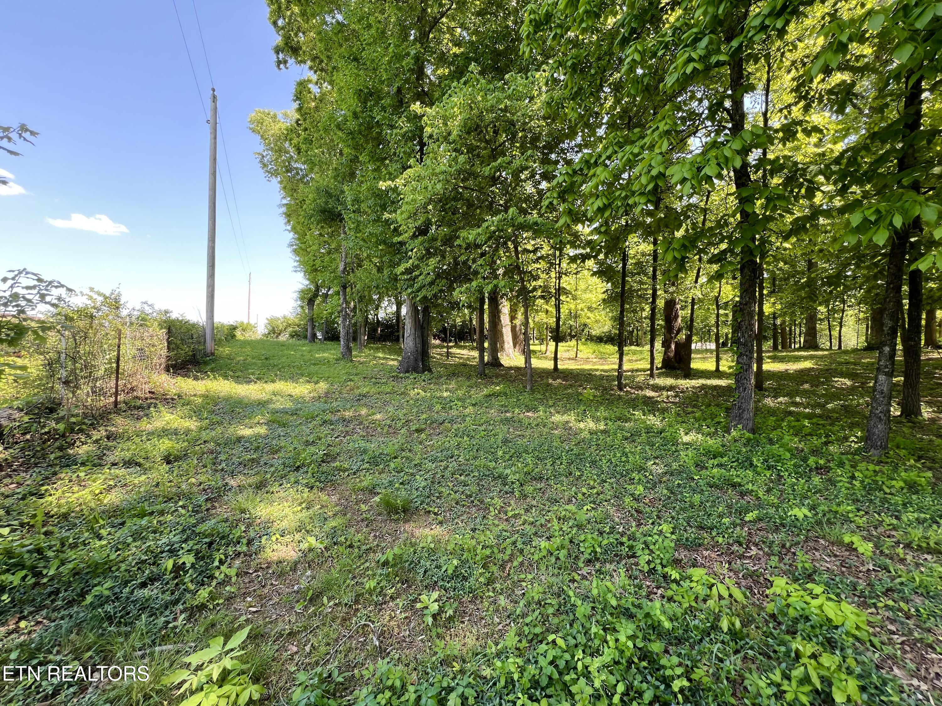 729 East Hunt Road Alcoa, TN 37701 - Photo 5 of 7 729 E Hunt