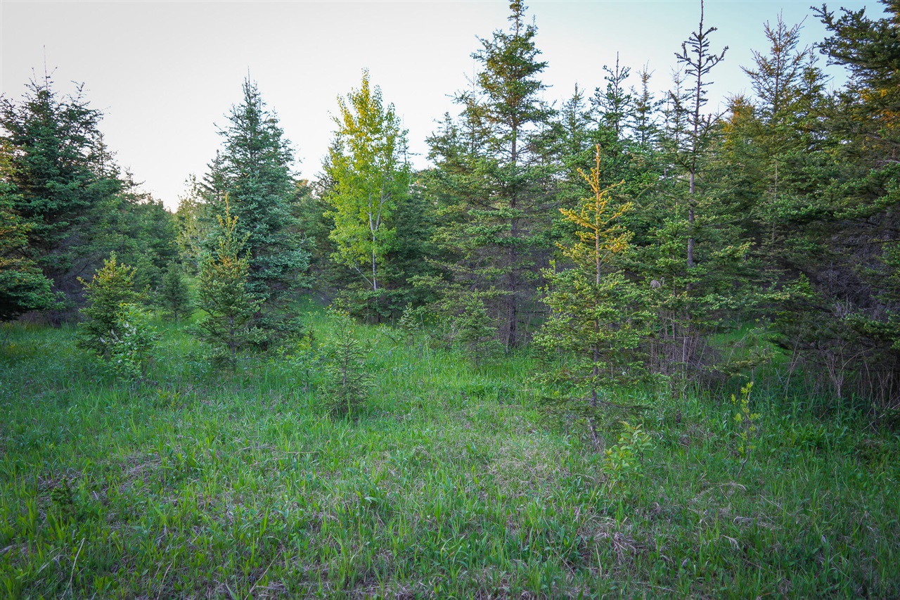 V/l V/l 33rd Road Gladstone, MI 49837 - Photo 69 of 70