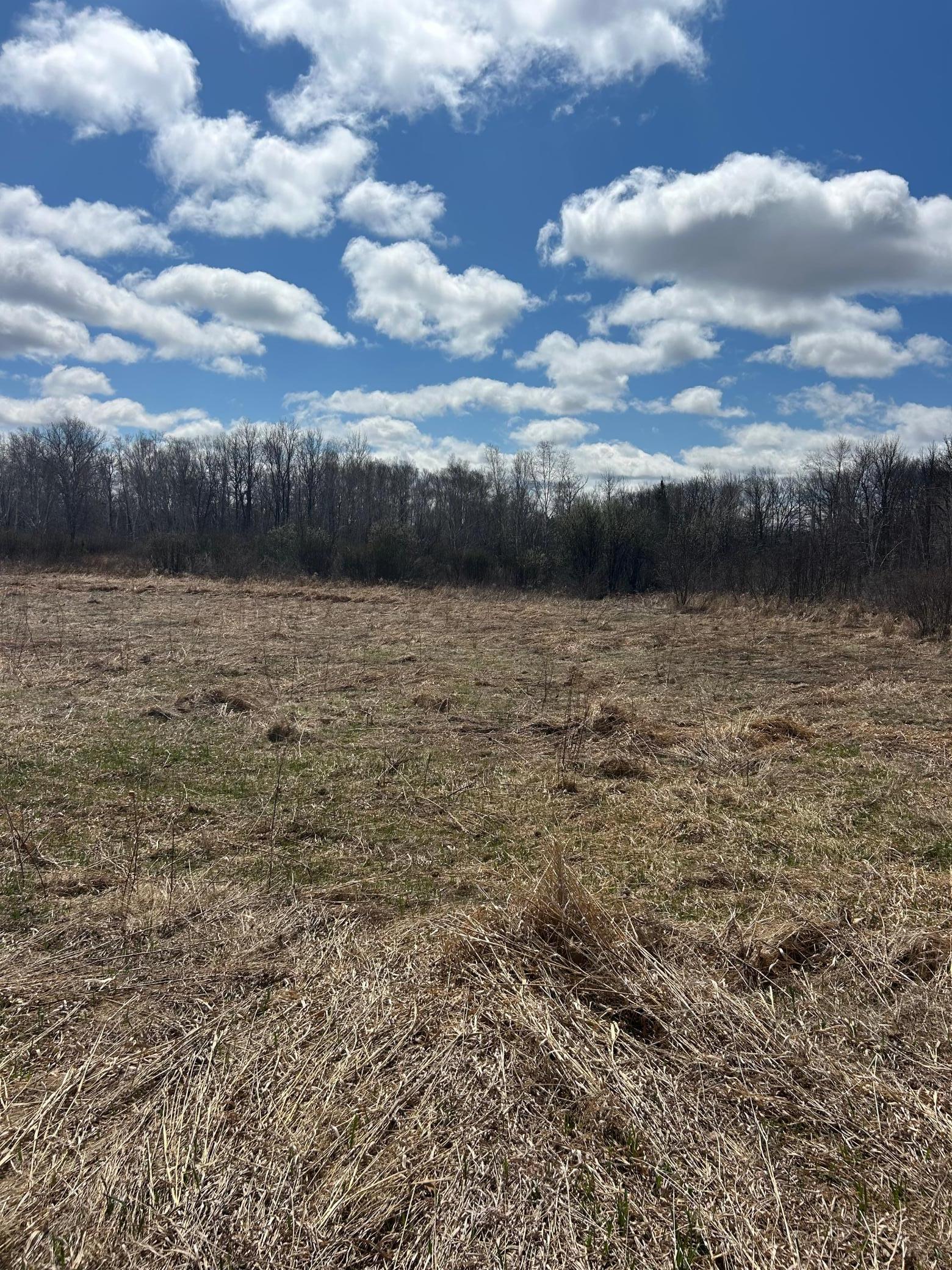 3862 Olympic Street Isle, MN 56342 - Photo 11 of 18