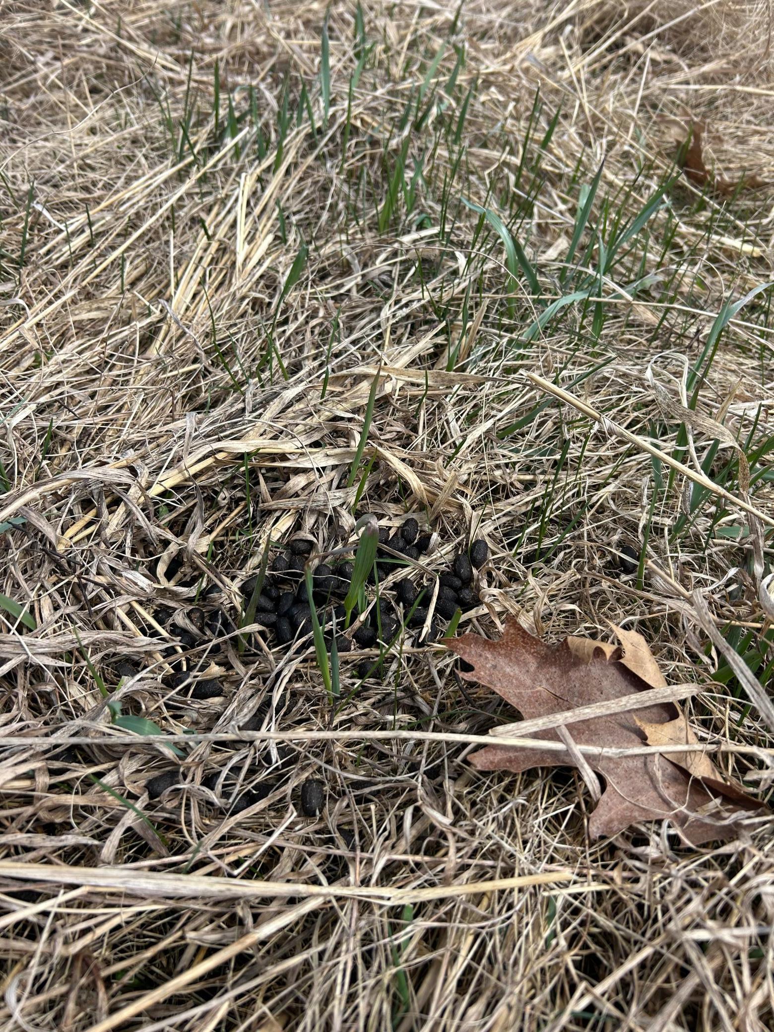 3862 Olympic Street Isle, MN 56342 - Photo 16 of 18