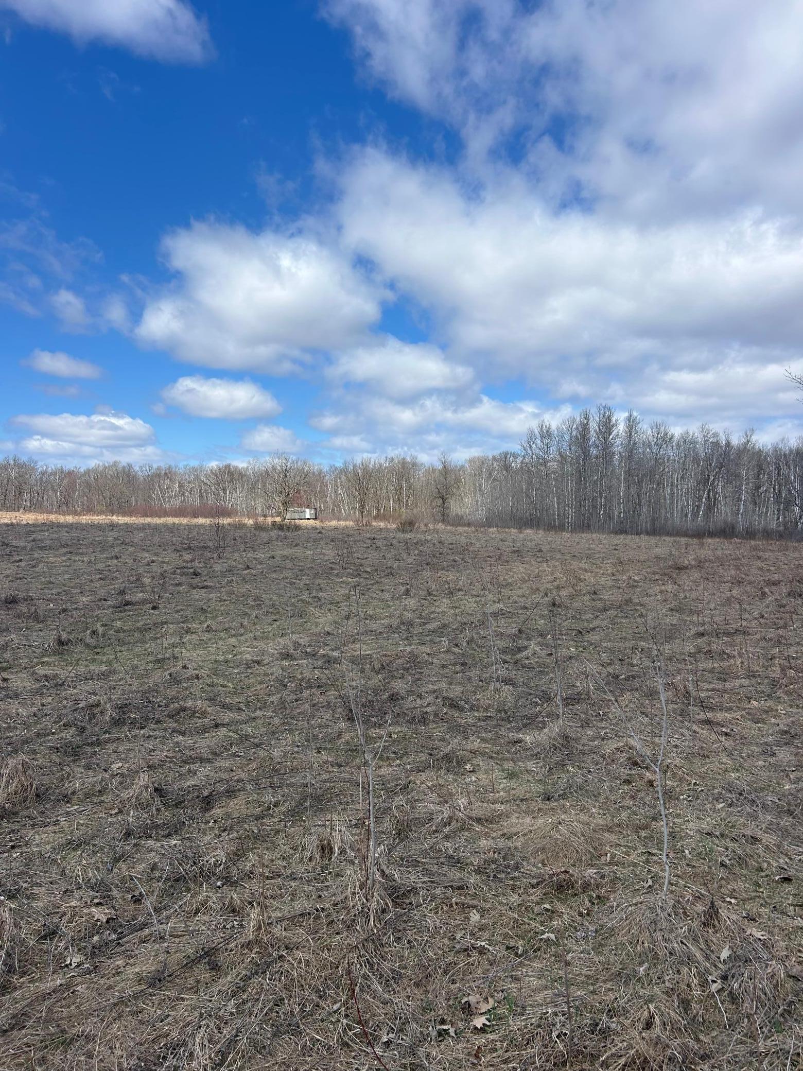 3862 Olympic Street Isle, MN 56342 - Photo 3 of 18