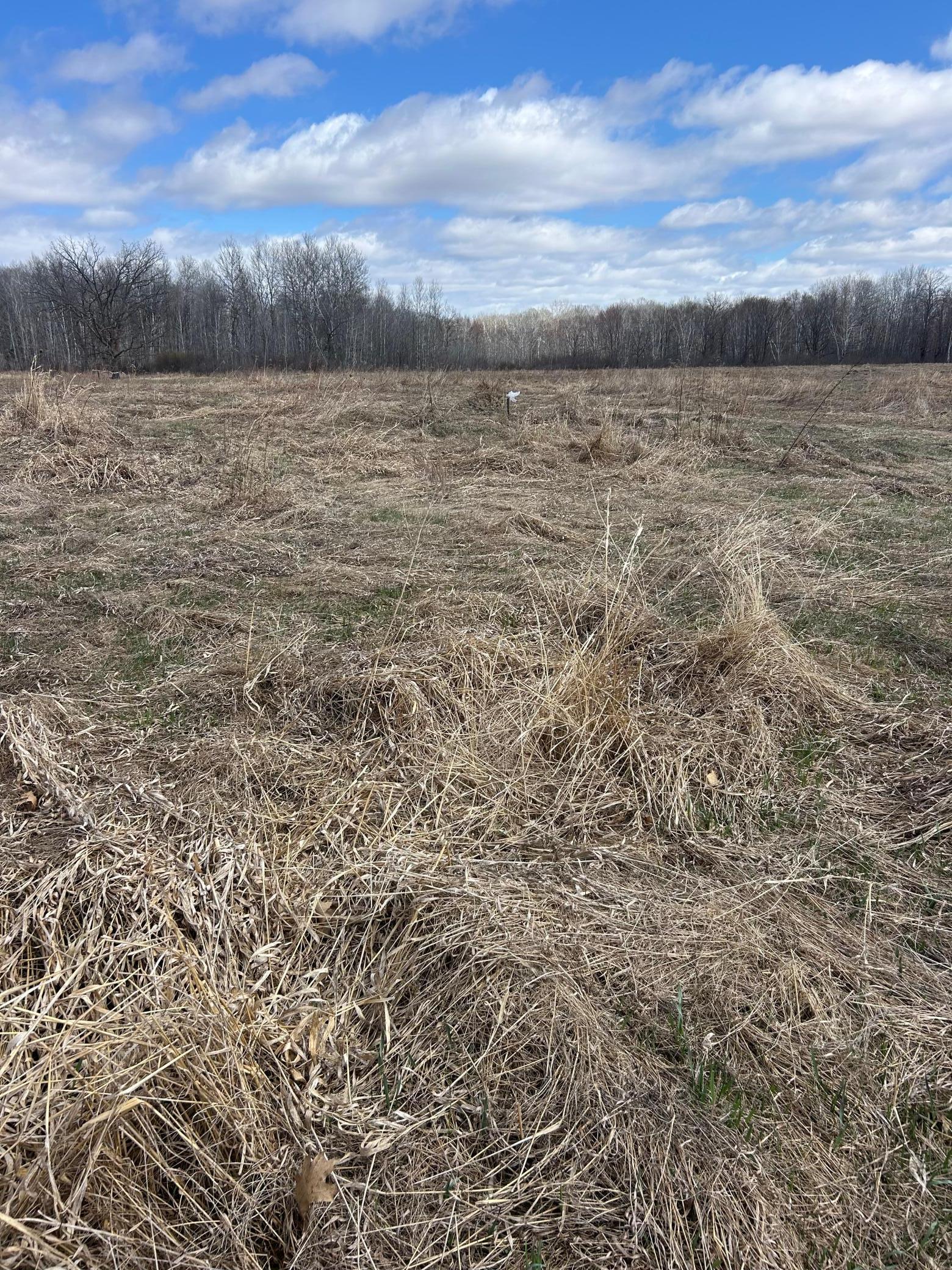 3862 Olympic Street Isle, MN 56342 - Photo 6 of 18