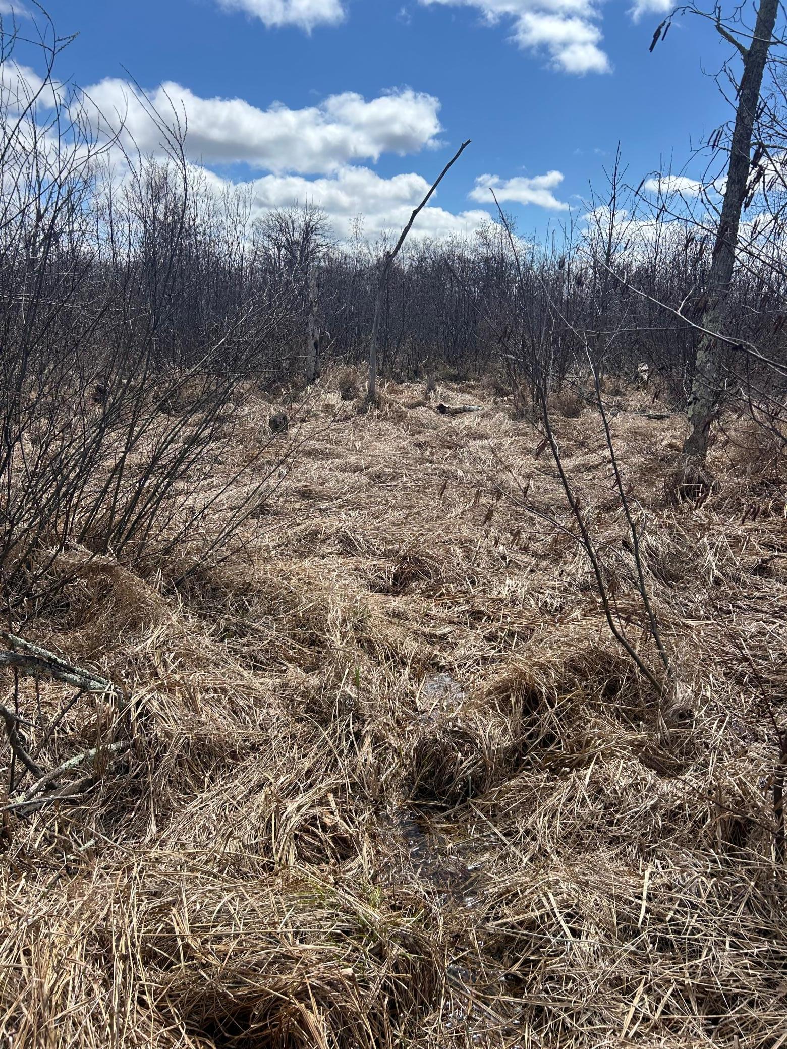 3862 Olympic Street Isle, MN 56342 - Photo 7 of 18