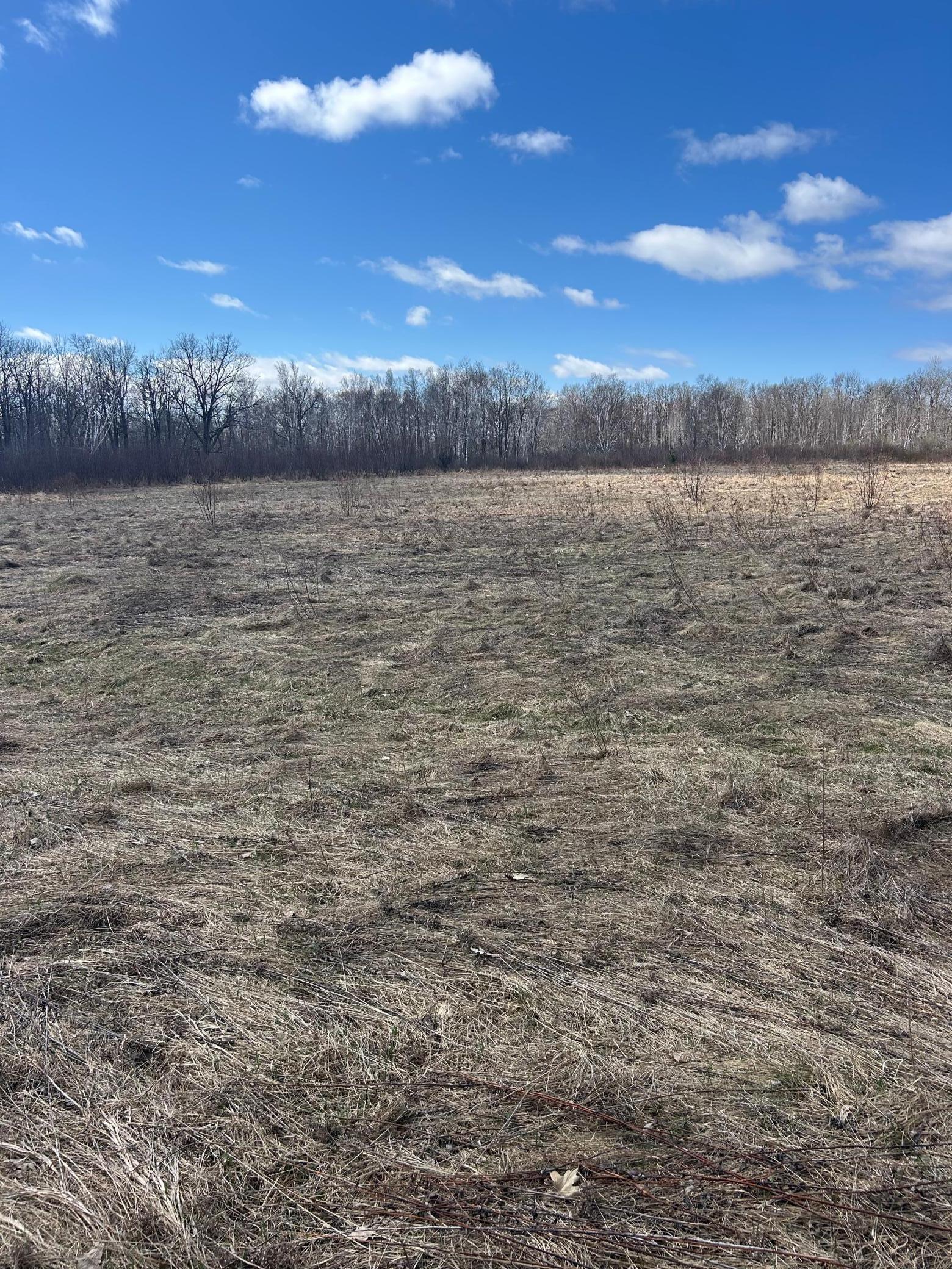 3862 Olympic Street Isle, MN 56342 - Photo 8 of 18