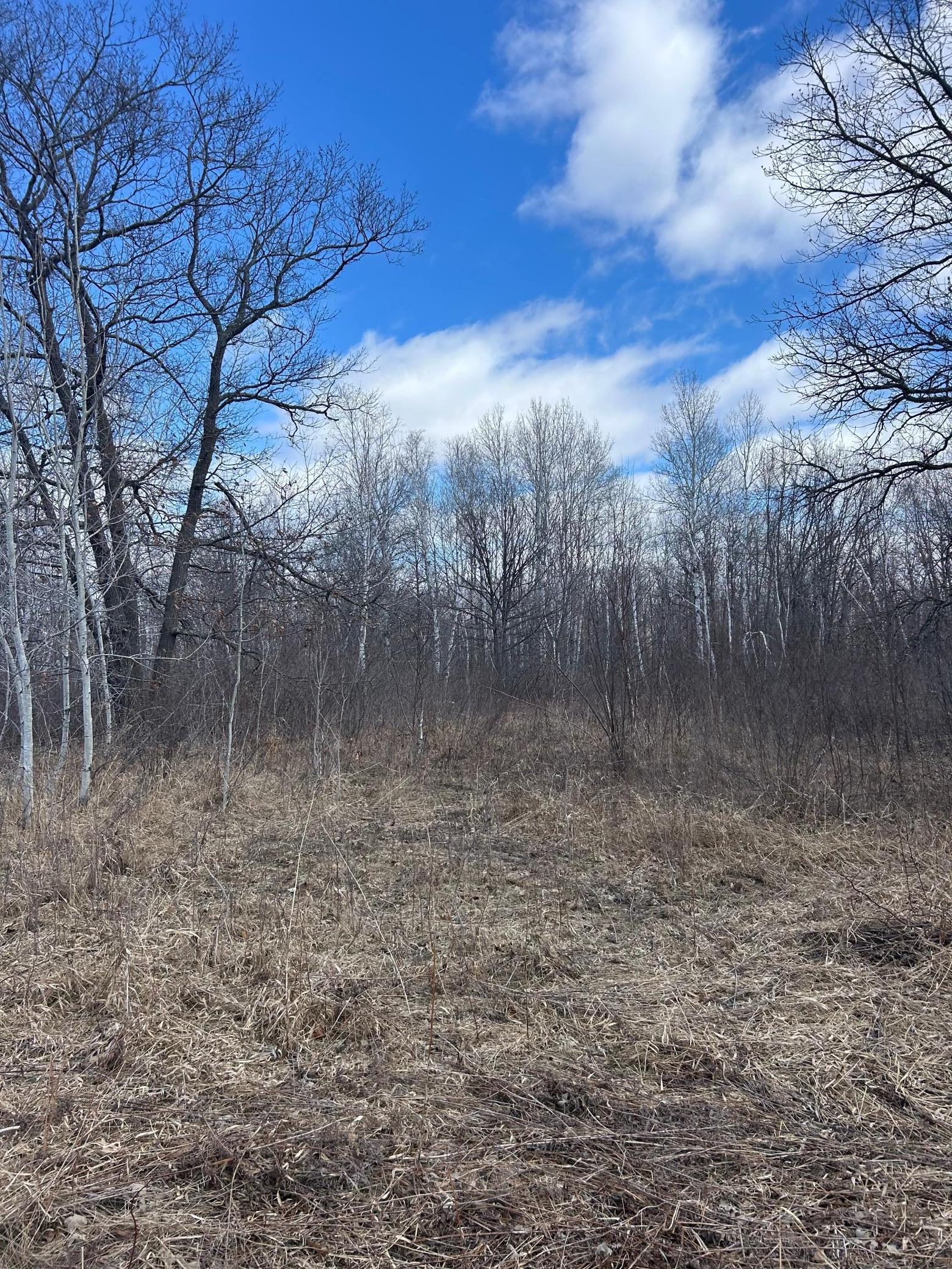 3862 Olympic Street Isle, MN 56342 - Photo 9 of 18