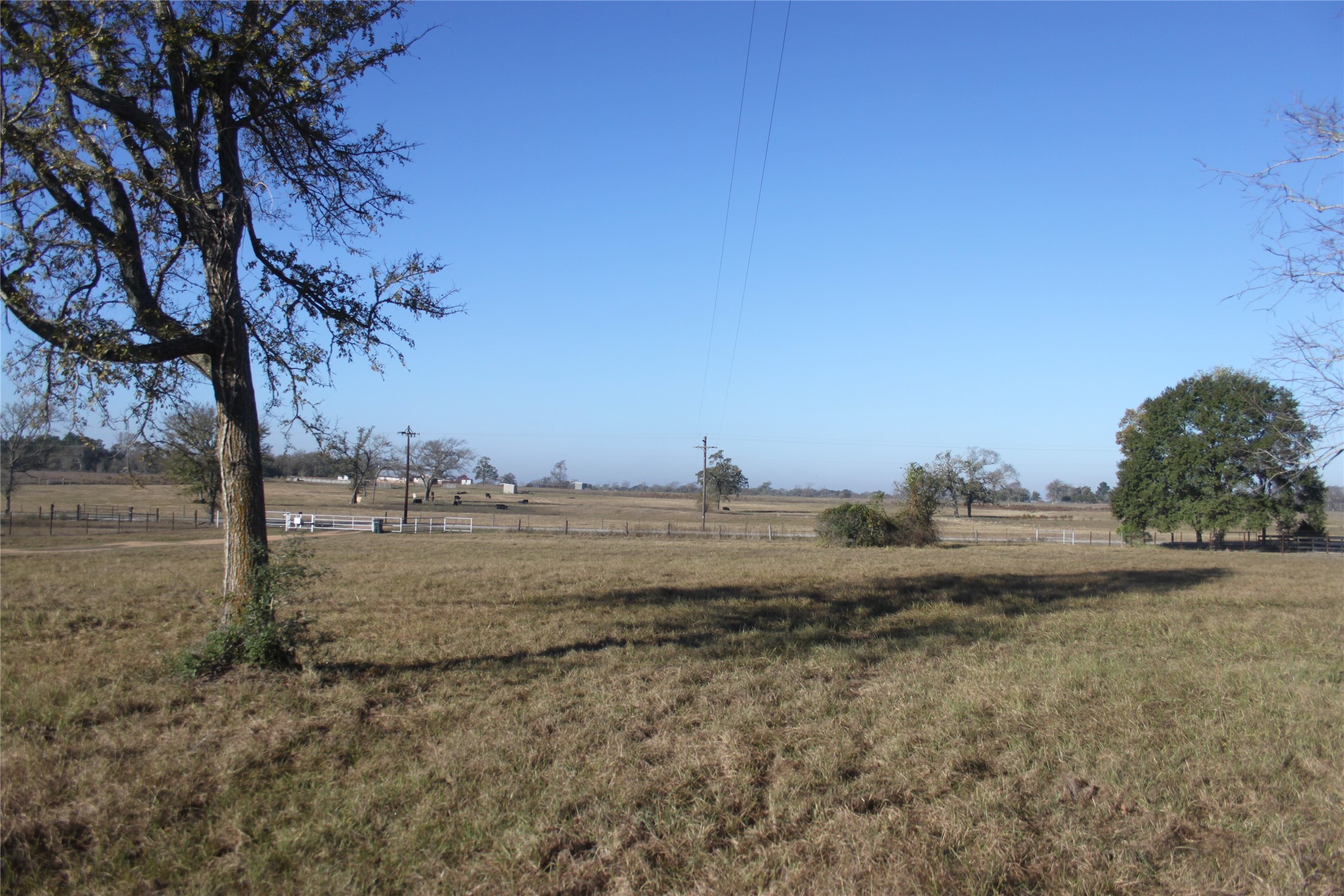 27134 Muckelroy Road Hempstead, TX 77445 - Photo 4 of 11