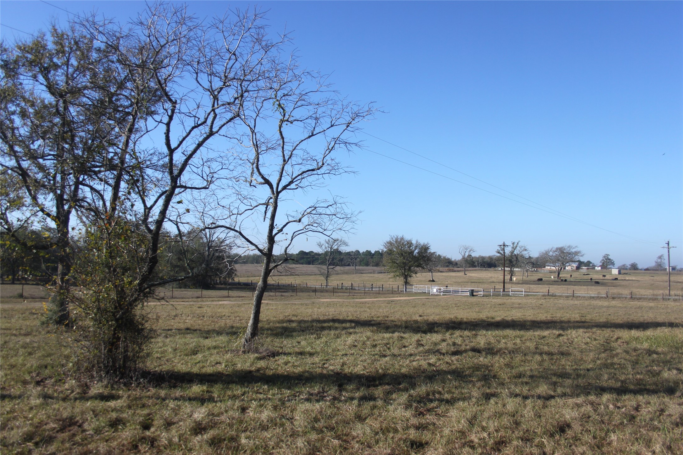 27134 Muckelroy Road Hempstead, TX 77445 - Photo 5 of 11