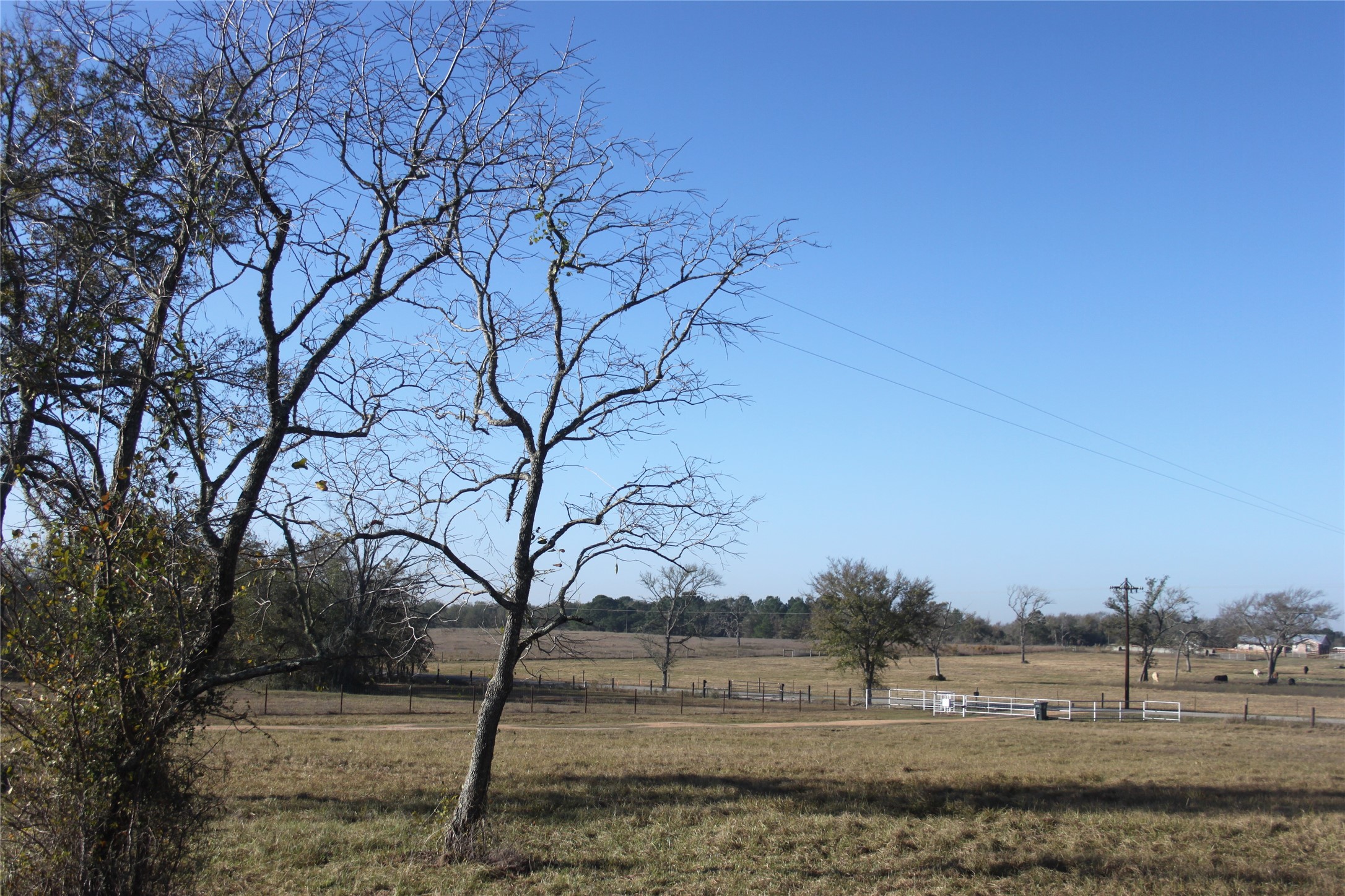 27134 Muckelroy Road Hempstead, TX 77445 - Photo 6 of 11