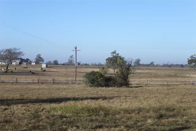 a view of a field with large tree