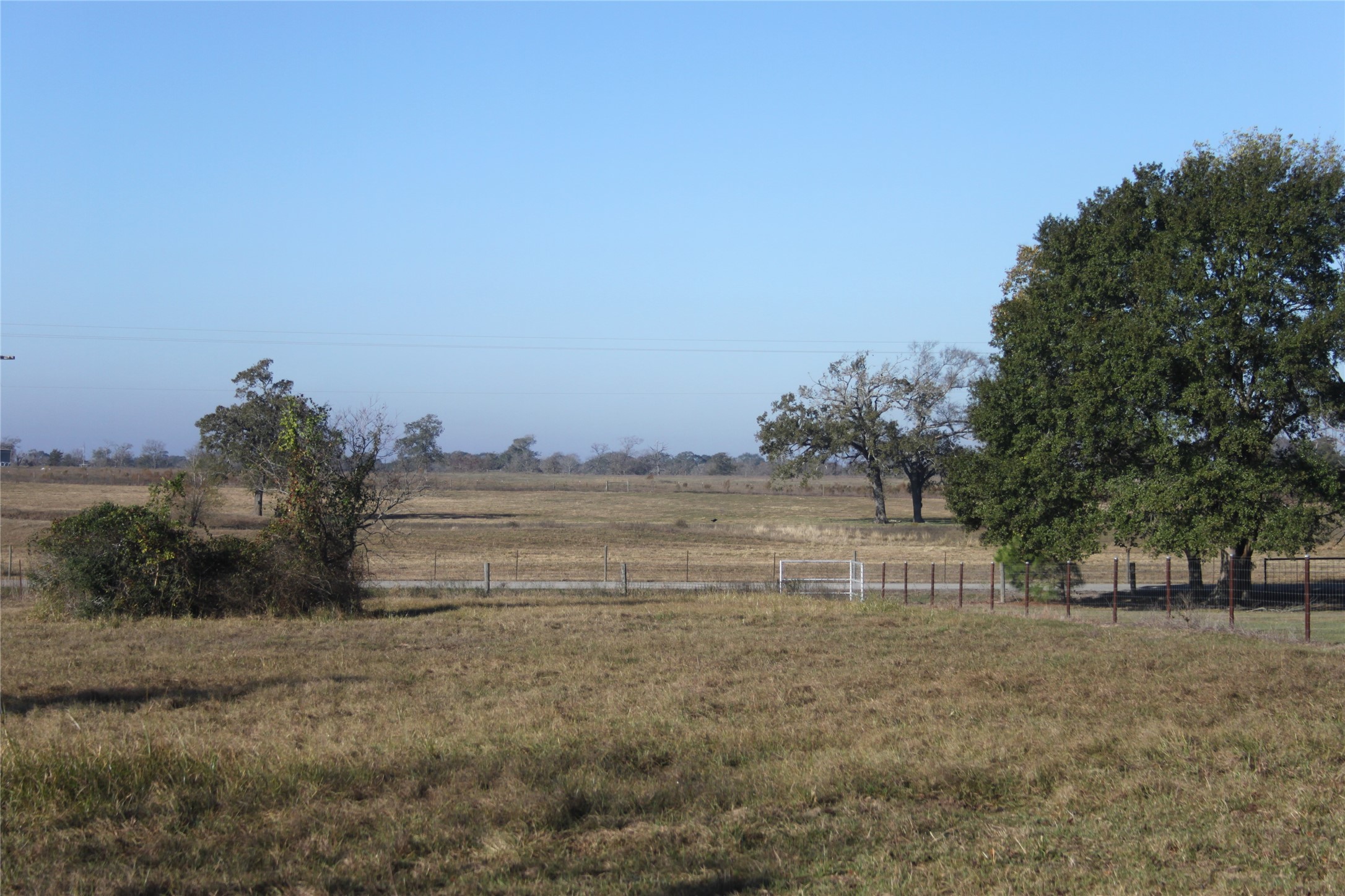 27134 Muckelroy Road Hempstead, TX 77445 - Photo 8 of 11