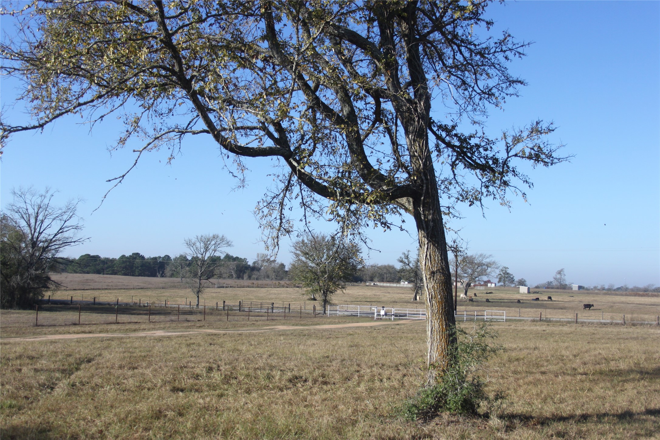 27134 Muckelroy Road Hempstead, TX 77445 - Photo 9 of 11