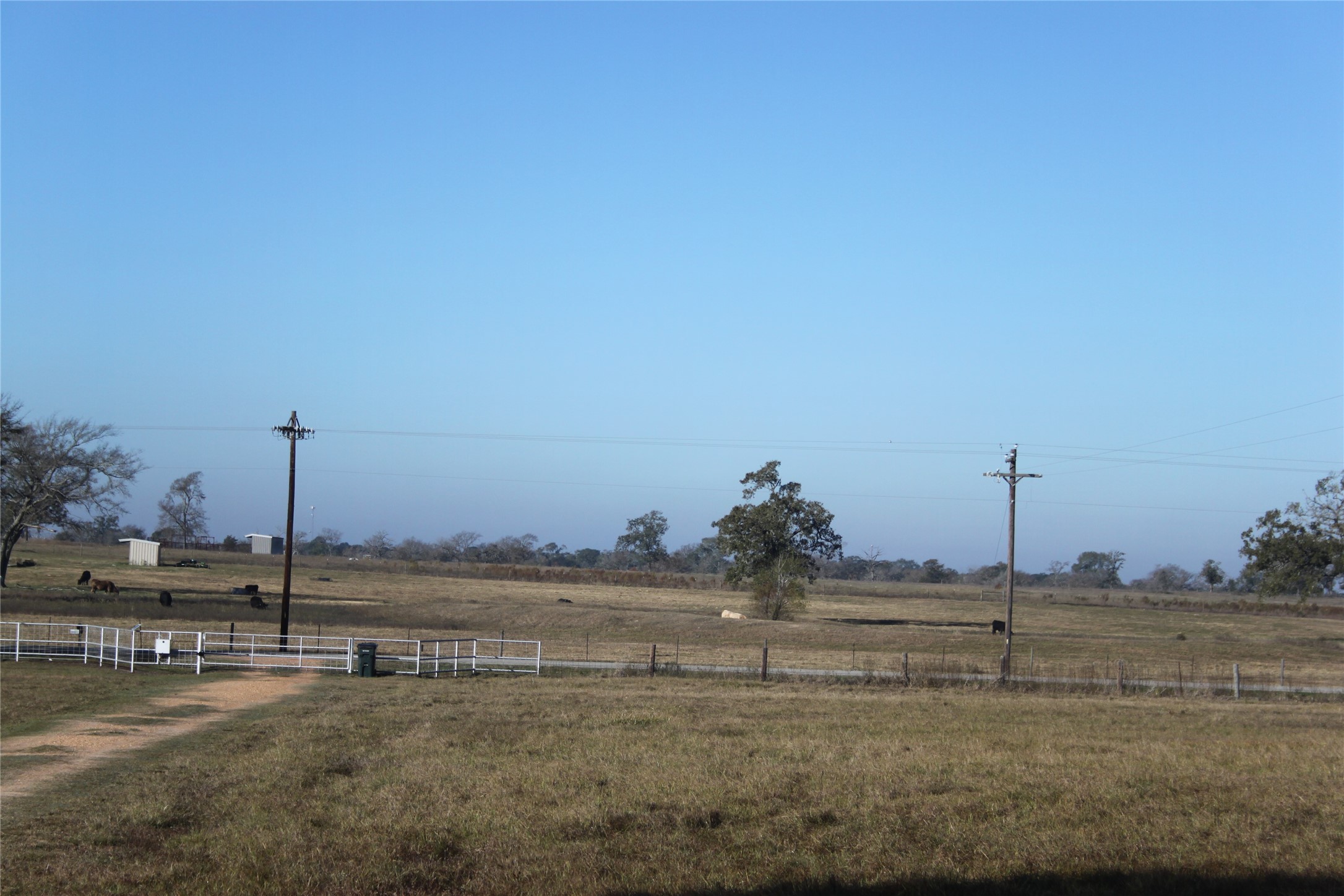 27134 Muckelroy Road Hempstead, TX 77445 - Photo 10 of 11