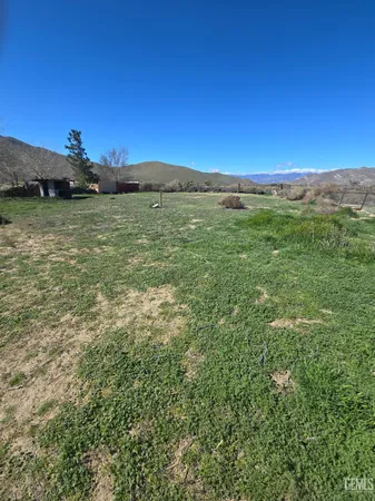 a view of a field with an ocean