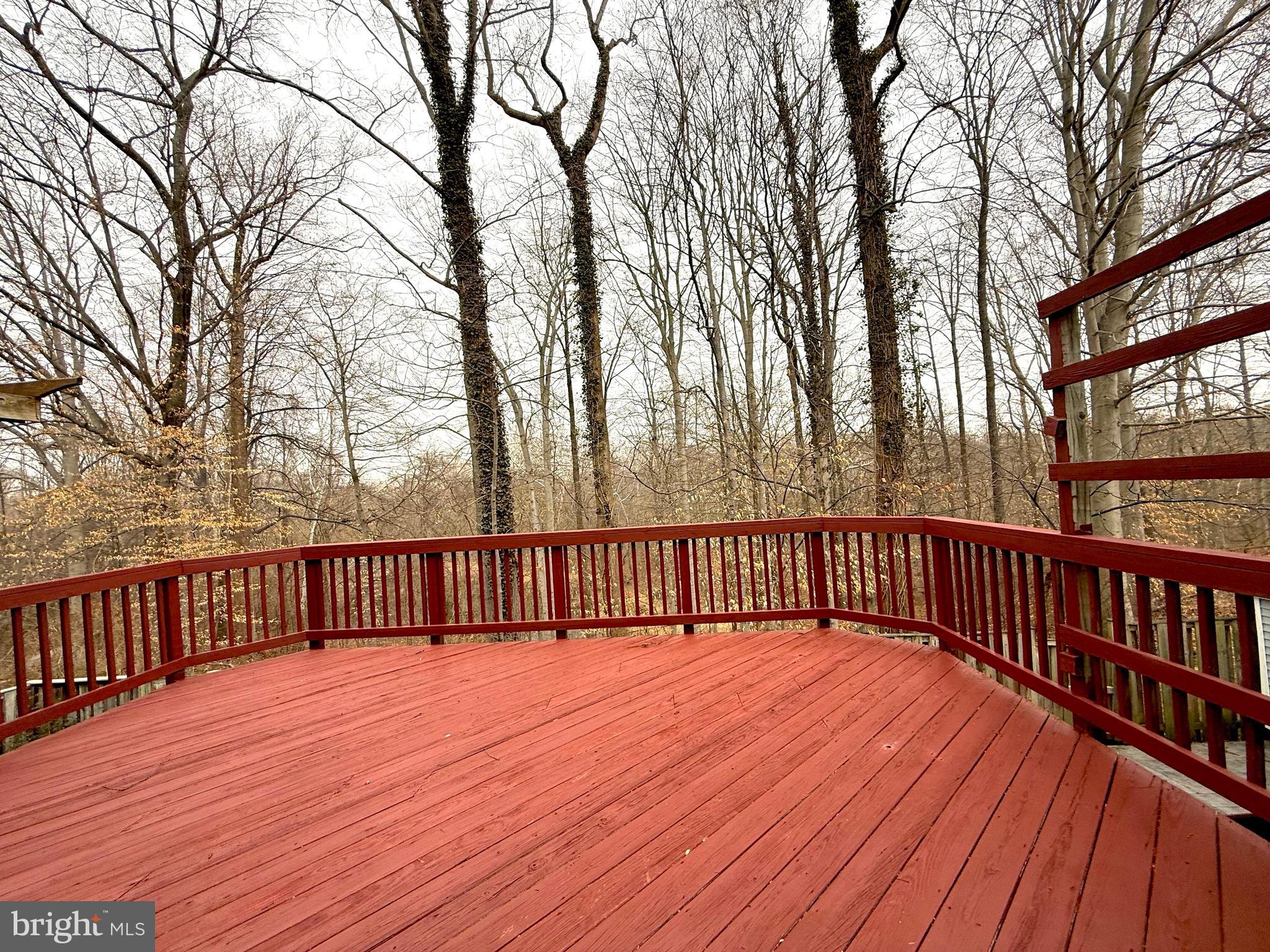 5278 Lonsdale Drive Springfield, VA 22151 - Photo 29 of 32