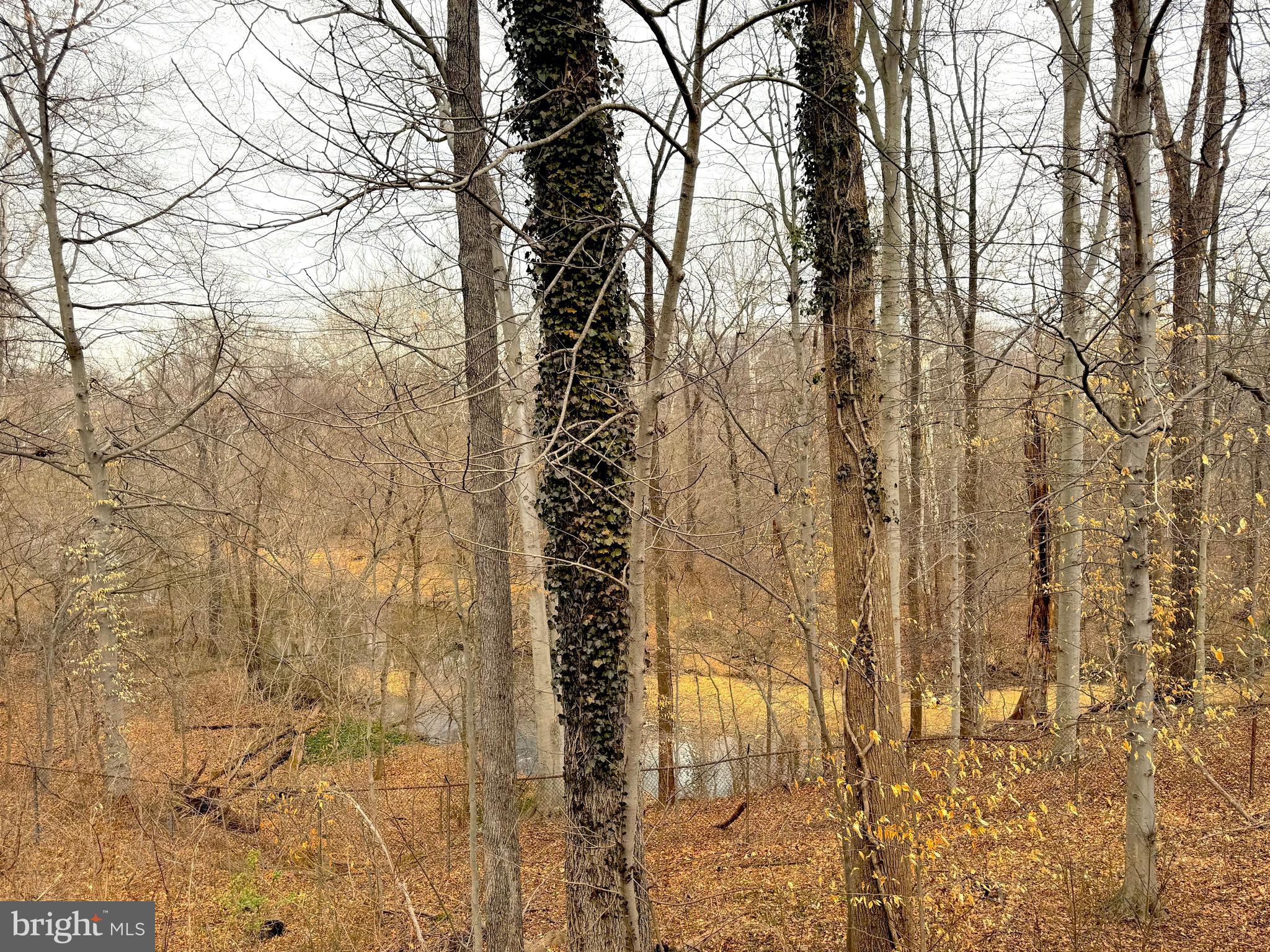 5278 Lonsdale Drive Springfield, VA 22151 - Photo 30 of 32