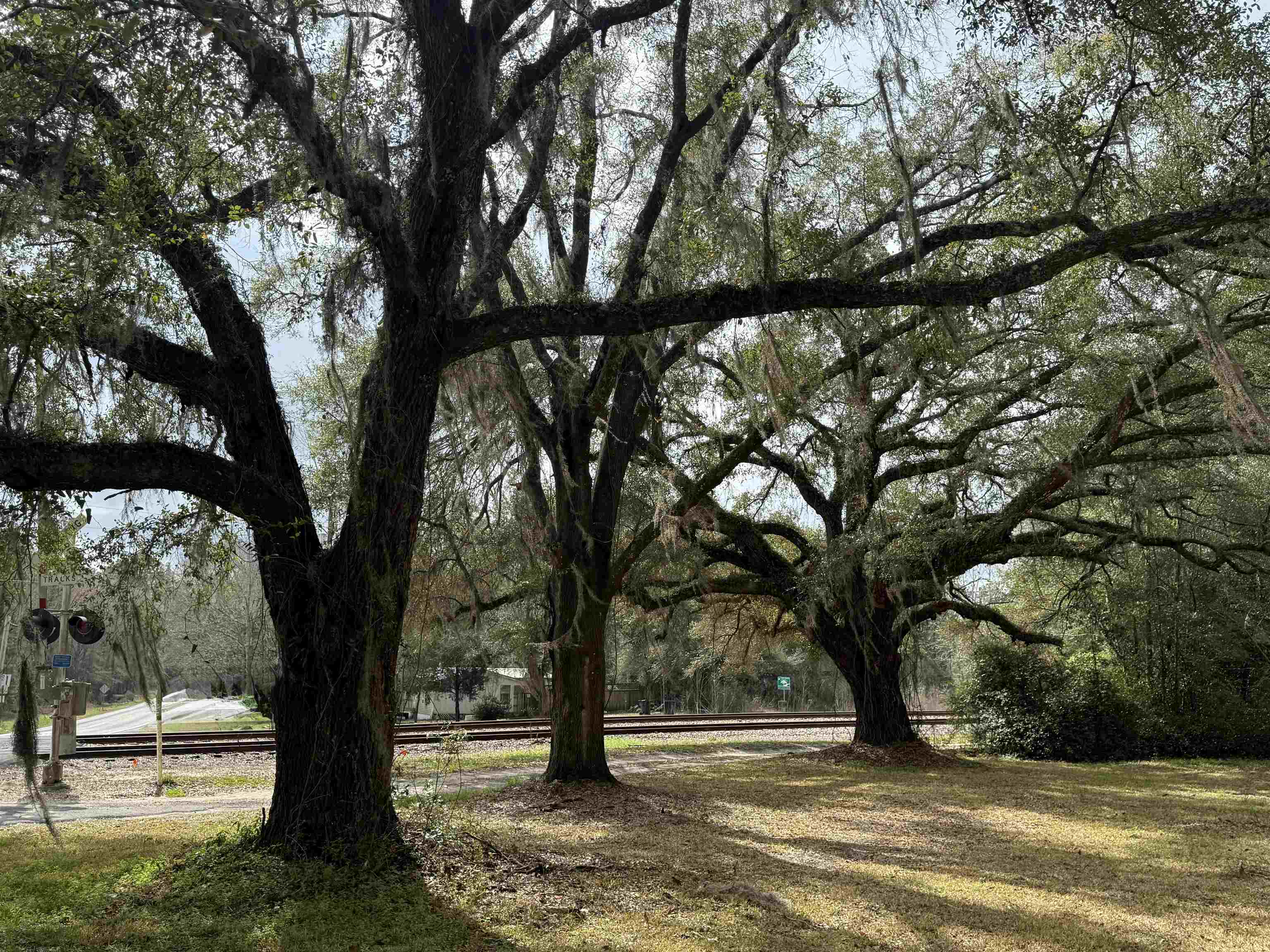 4890 Chaires Cross Road Tallahassee, FL 32317 - Photo 4 of 67