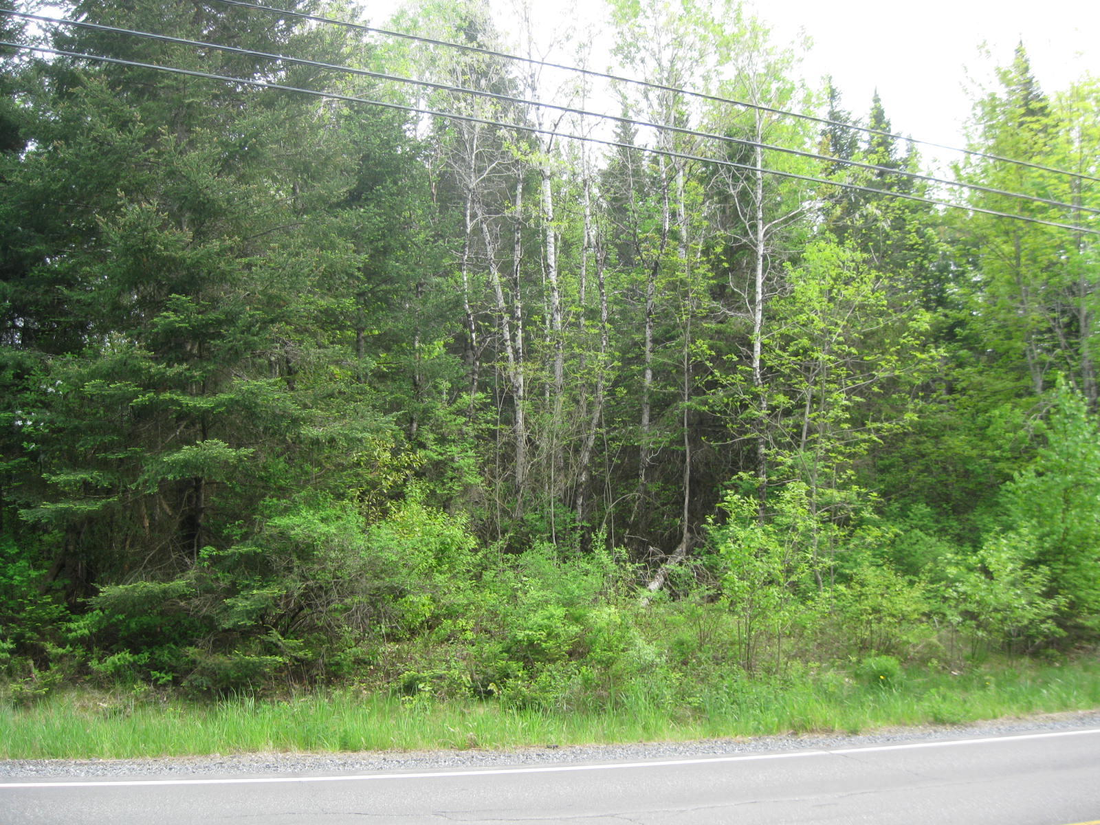 0 Unity Road Waterville, ME 04901 - Photo 7 of 9 IMG_8009