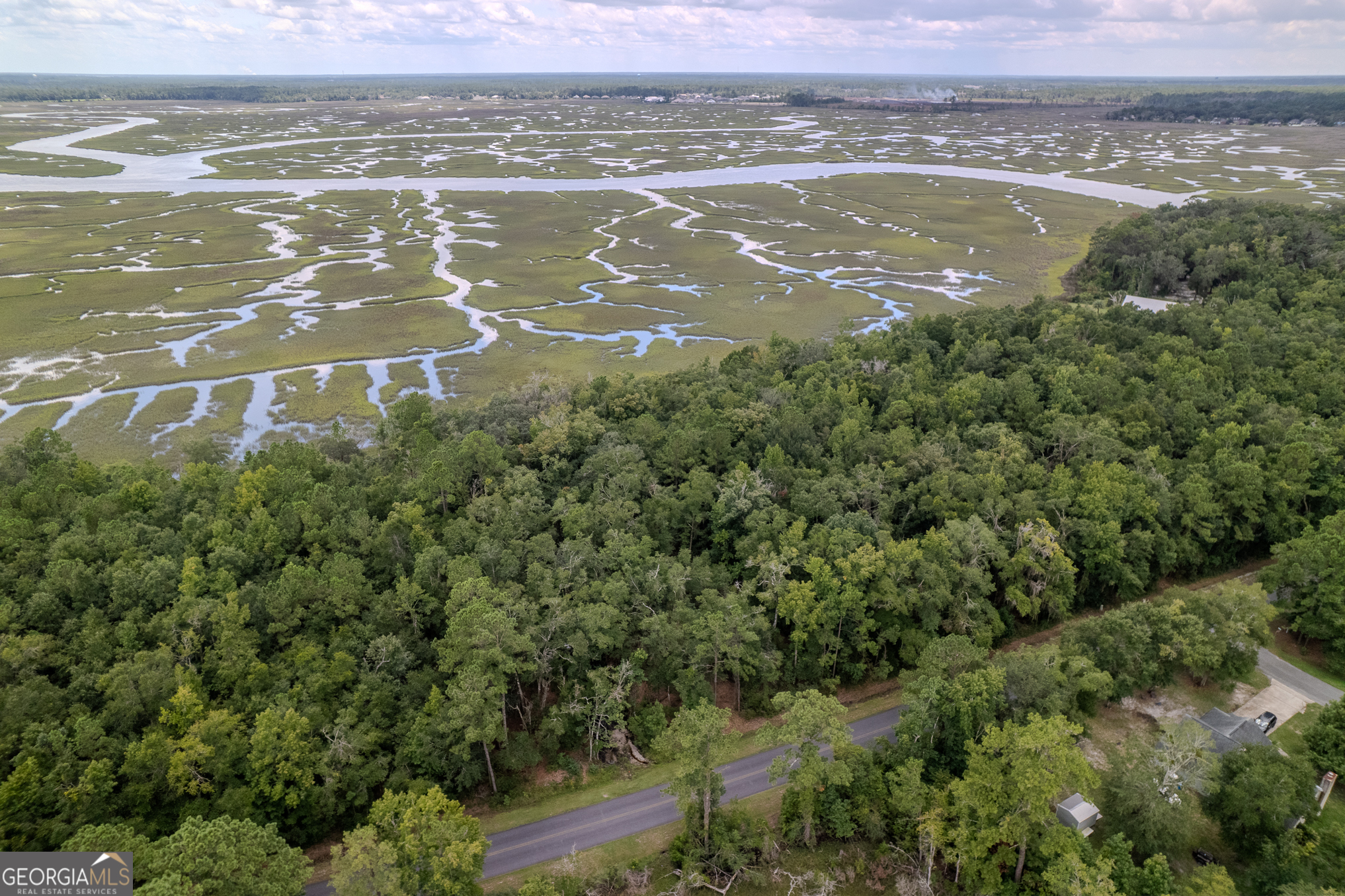 0 Sheffield Island Road, Unit 4 Woodbine, GA 31569 - Photo 5 of 13 a view of a city with an ocean