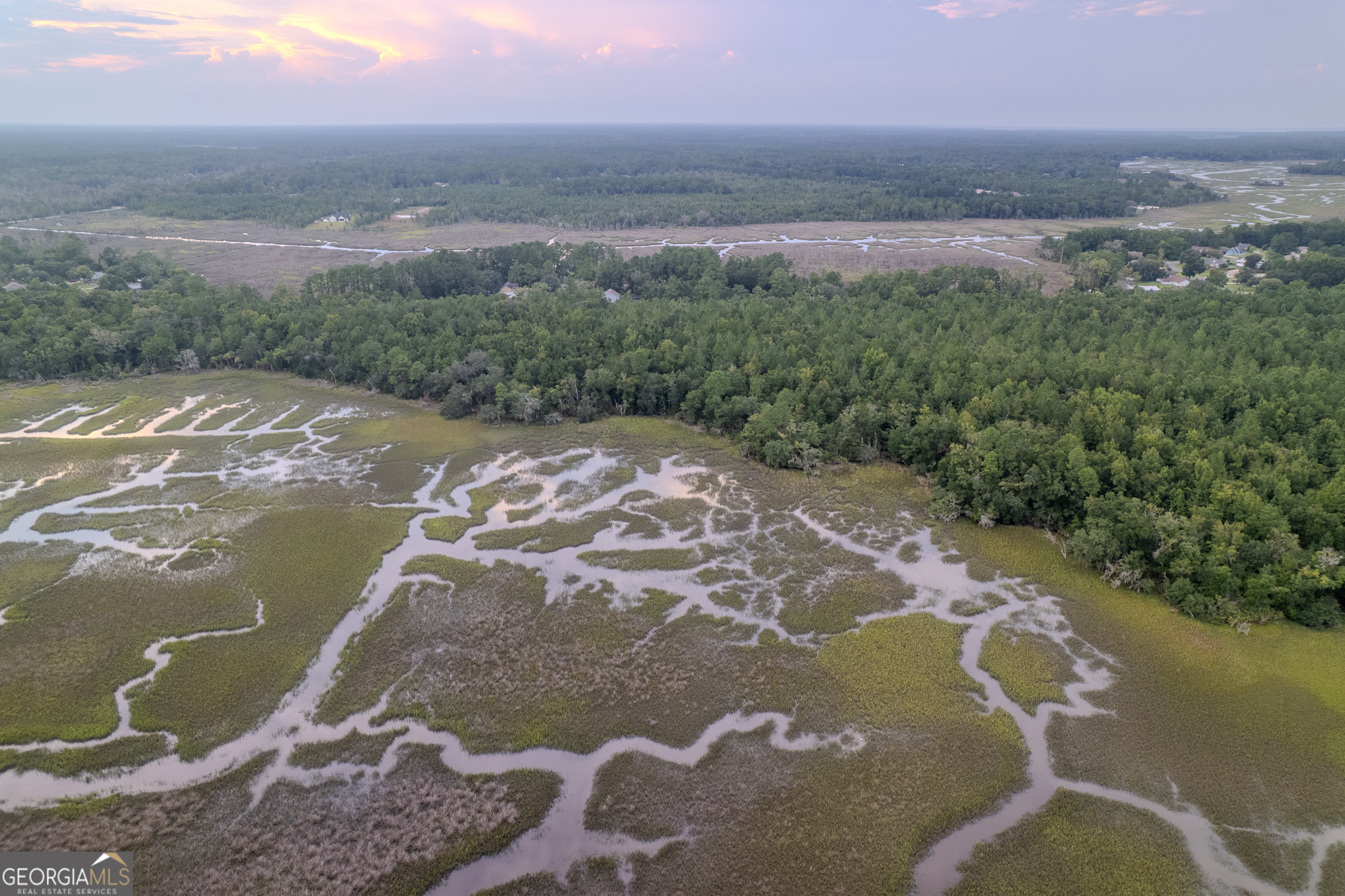 0 Sheffield Island Road, Unit 4 Woodbine, GA 31569 - Photo 6 of 13 a view of a lake in middle of forest