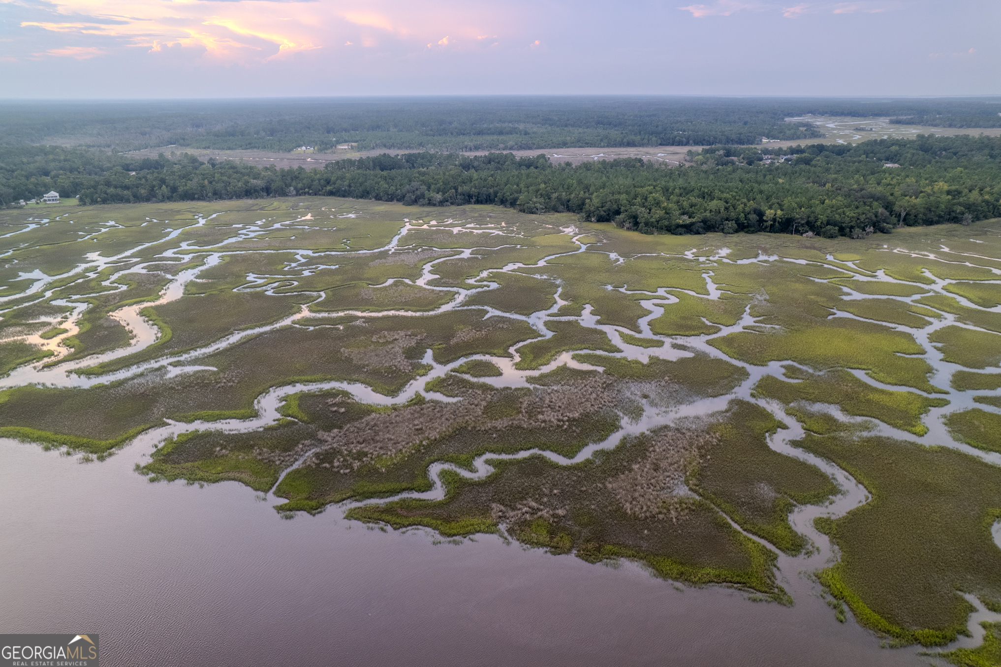 0 Sheffield Island Road, Unit 4 Woodbine, GA 31569 - Photo 7 of 13 a view of a lake from a yard