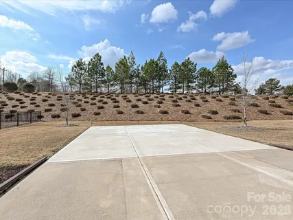 a view of a yard