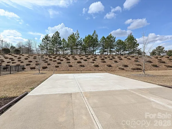 a view of a yard