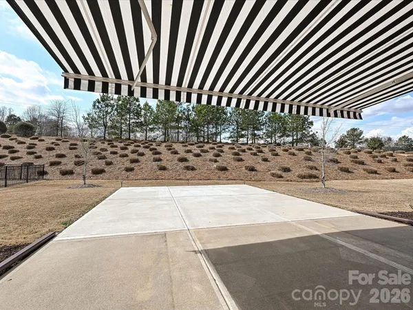 a view of a yard