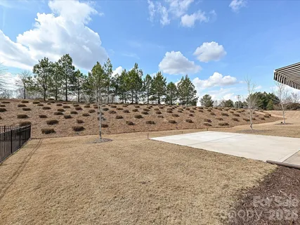 a view of a yard