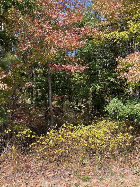 0 Chalk Maple Road, Unit 1 China Grove, NC 28023 - Photo 1 of 5 Gallery Image 1